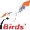 feature-icon